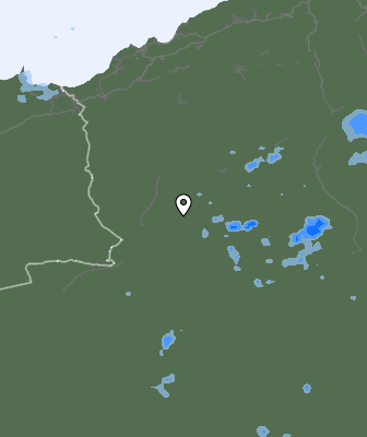 Валежи