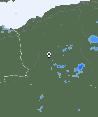 Валежи