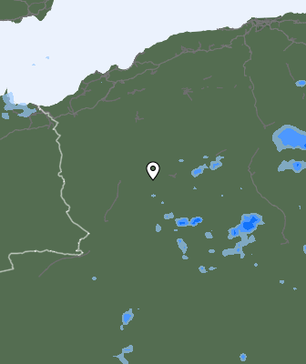 Валежи