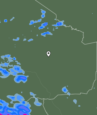 Валежи