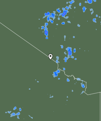 Валежи
