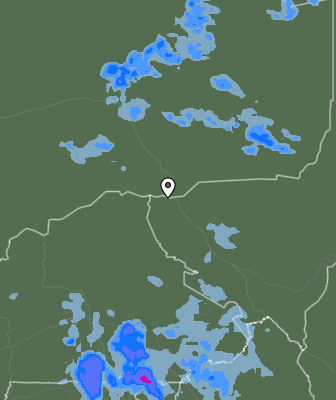 Niederschlagsprognose
