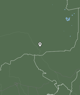Niederschlagsprognose
