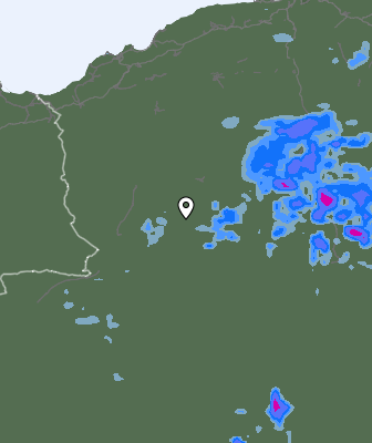 Валежи