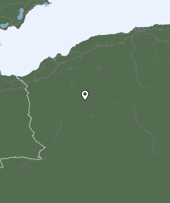 Niederschlagsprognose