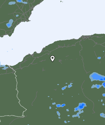 Валежи