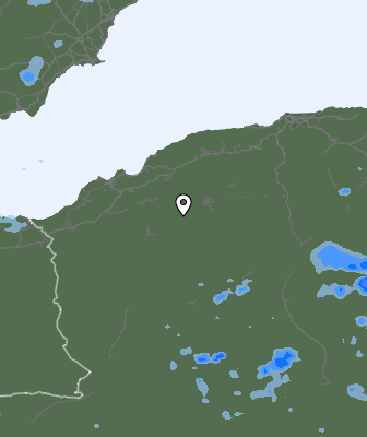 Валежи