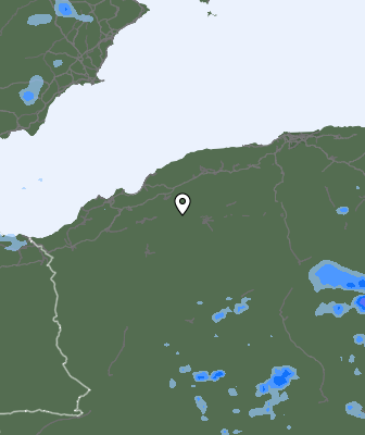Валежи