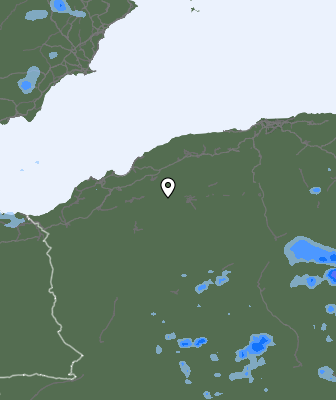 Валежи