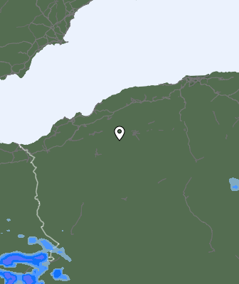 Валежи