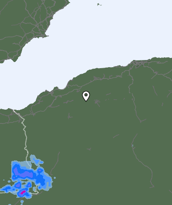 Валежи