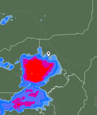 Валежи
