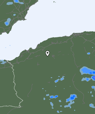 Валежи