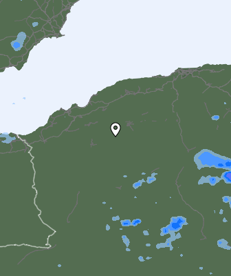 Валежи