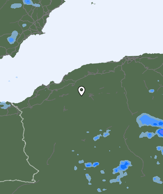 Валежи