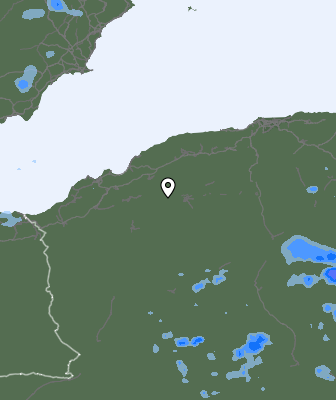 Валежи