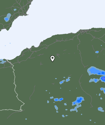Валежи