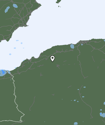 Валежи