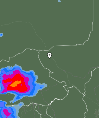 Валежи