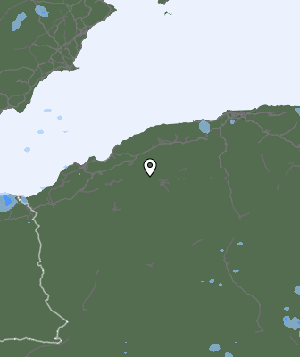 Валежи