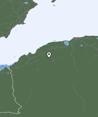 Валежи