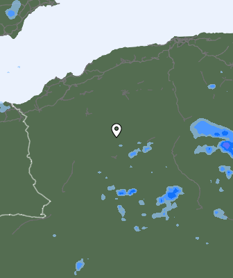 Валежи
