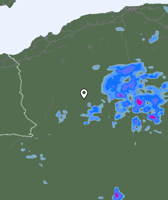 Валежи