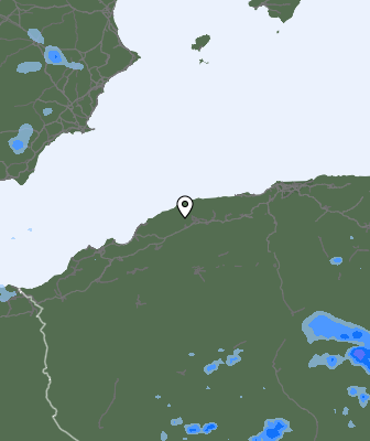 Валежи