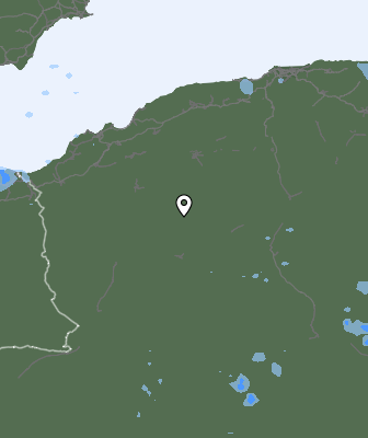 Валежи