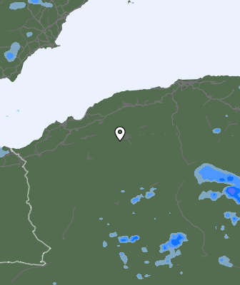 Валежи
