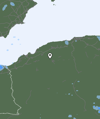 Валежи