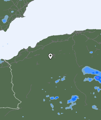 Валежи