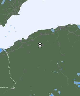 Валежи