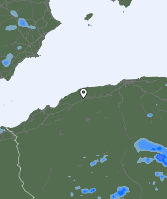 Валежи