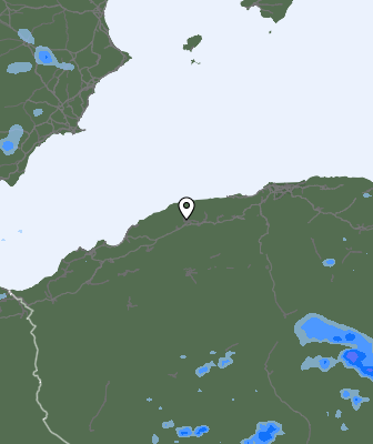 Валежи