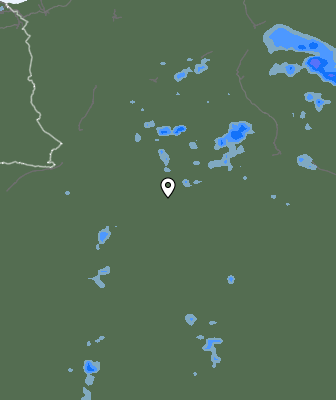 Валежи