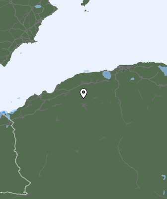 Валежи