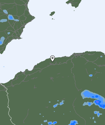 Валежи
