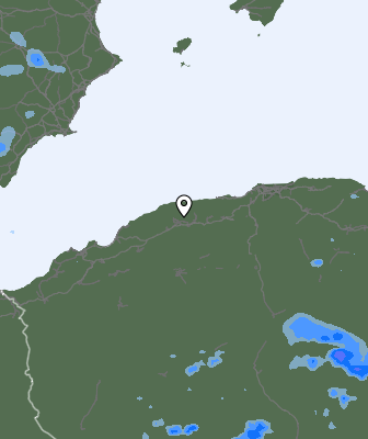 Валежи