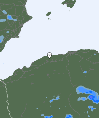 Валежи