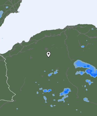 Валежи