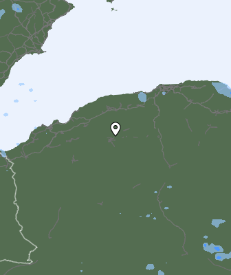 Валежи