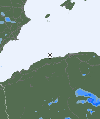 Валежи