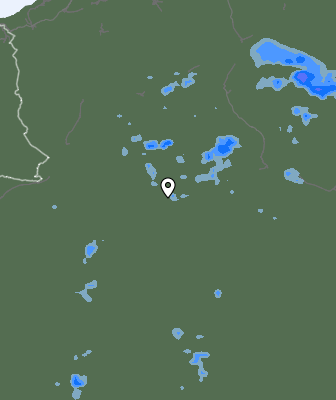 Валежи