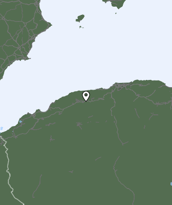 Niederschlagsprognose