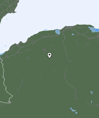 Валежи