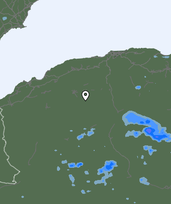 Валежи