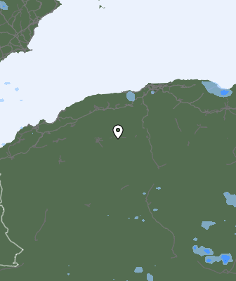 Валежи