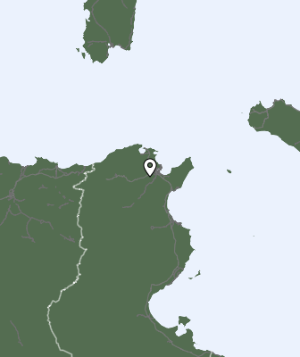 Nedbør