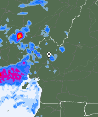 Niederschlagsprognose